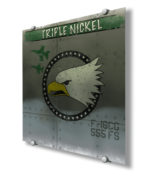 555th Fighter Squadron Nose Art