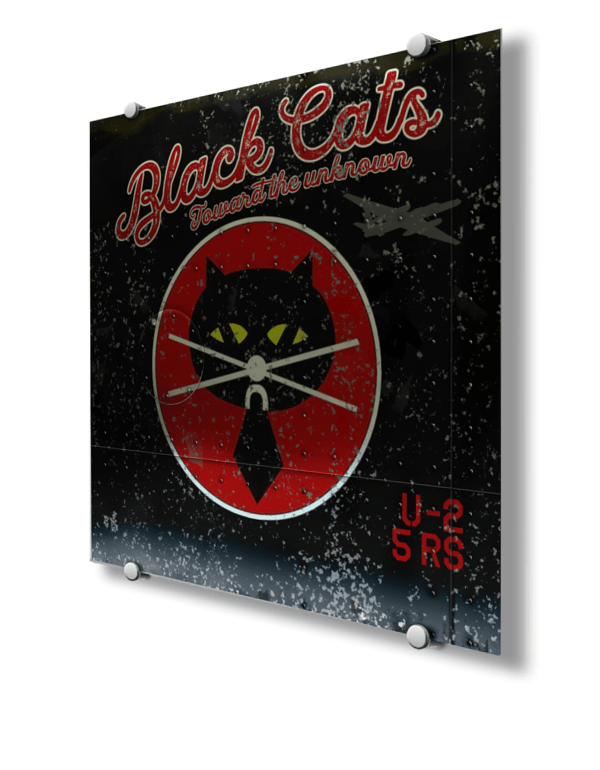 5th Reconnaissance Squadron “Black Cats” Nose Art