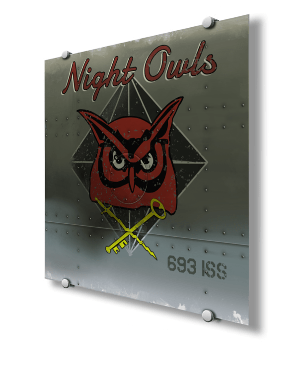 693d Intelligence Support Squadron Nose Art