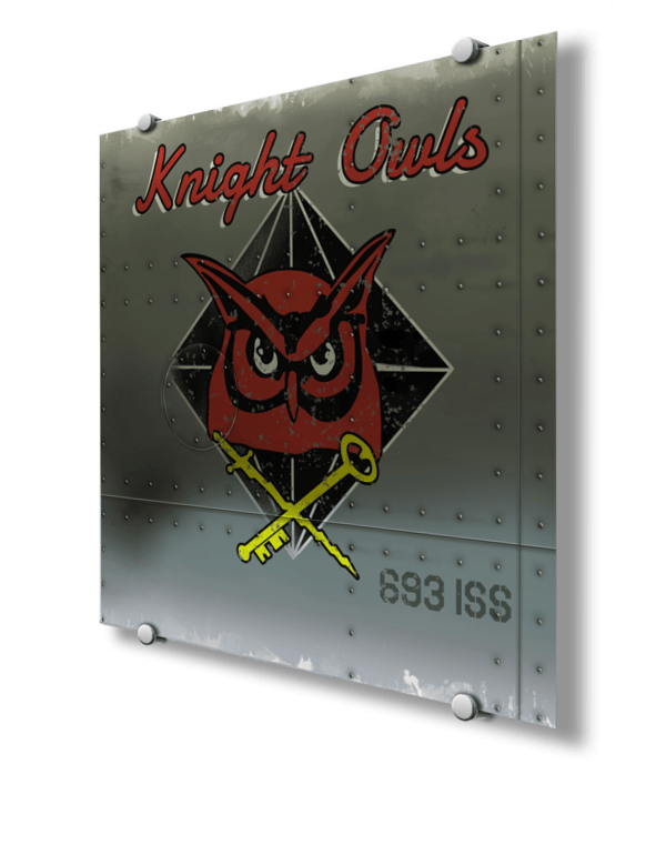 693 ISS Knight Owls Nose Art