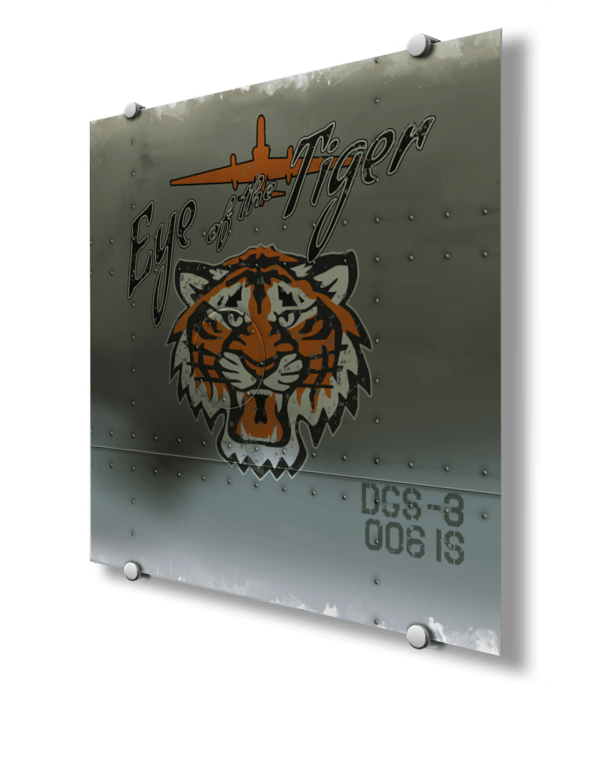 Osan AB 6th Intelligence Squadron “Eye Of The Tiger” Nose Art