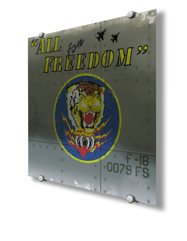 79th Fighter Squadron Nose Art
