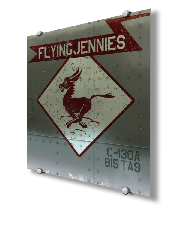 815th Tactical Airlift Squadron “Flying Jennies” Nose Art