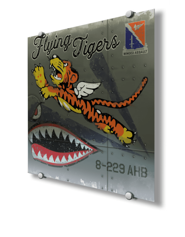 8-229 AHB Nose Art