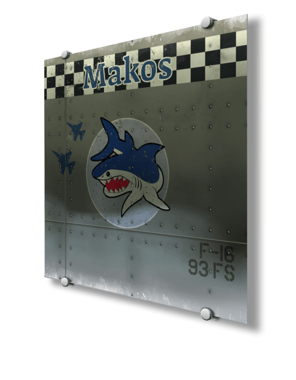 93rd Fighter Squadron “Makos” Nose Art