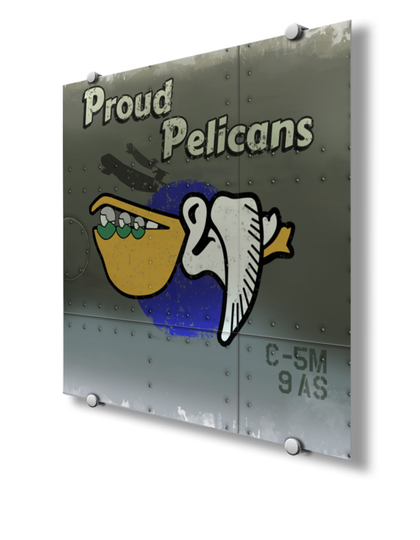 9AS C5M Proud Pelicans Nose Art