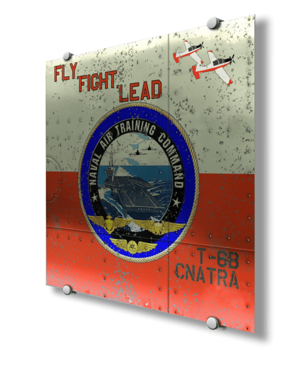 CNATRA T-6B Nose Art