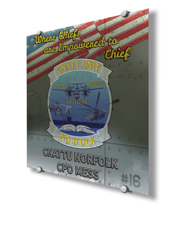 CNATTU CPO Mess Nose Art