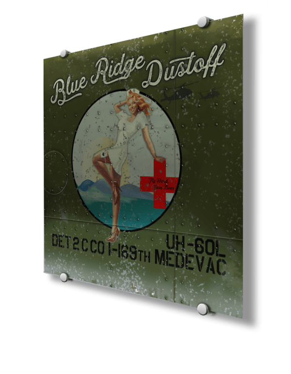 Blue Ridge Dustoff Nose Art