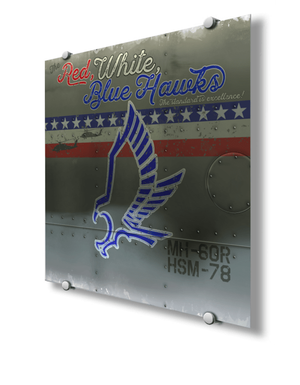 HSM-78 MH-60R Metal Nose Art