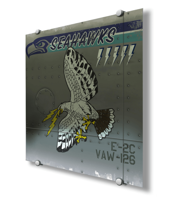 VAW-126 E-2 Hawkeye Nose Art