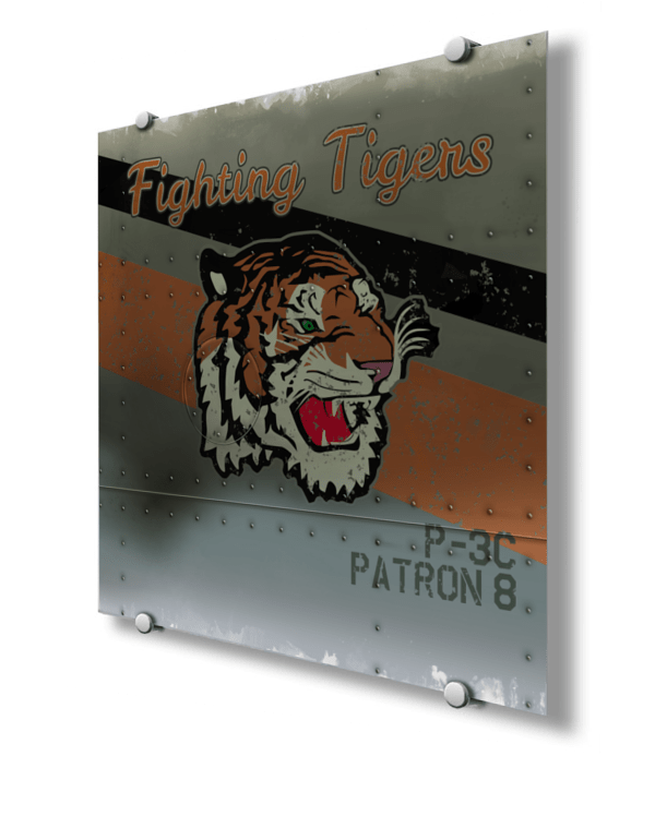 NAS Jacksonville Fighting Tigers P-3C Nose Art