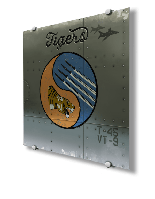 VT-9 “Tigers” Nose Art VT-9 “Tigers” Nose Art