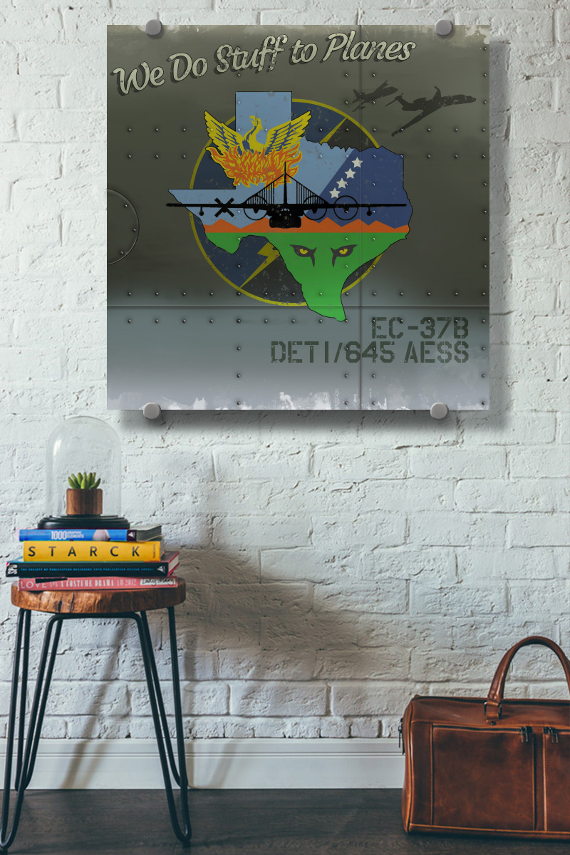 EC-37B Det 1 645 AESS Nose Art - Squadron Posters