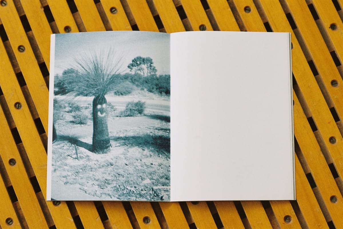 Division of Vision - Jay Dymock & Lloyd Stubber - Bloom Publishing