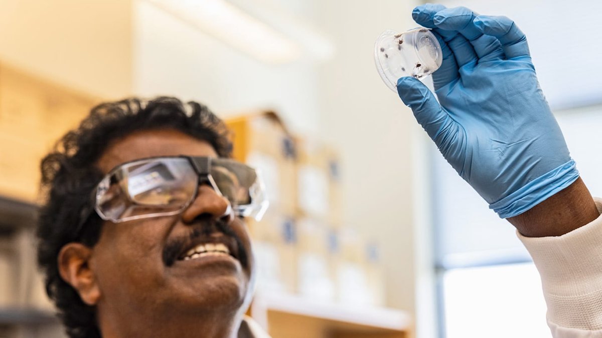 Fast Test Detects Tick Disease in 40 Minutes Fast Test Detects Tick Disease in 40 Minutes - rapid tick test