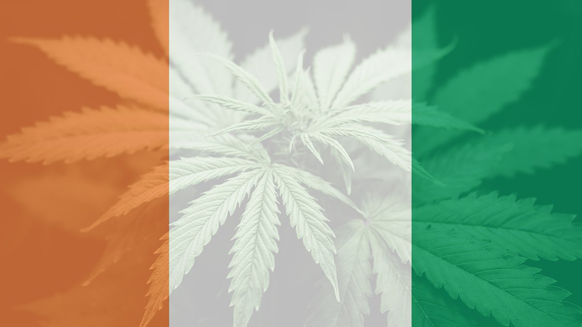 Ireland CBD Oil Guide Released for 2025 - cbd oil