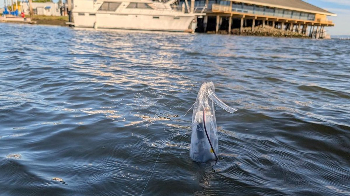 Ocean Data Boosts Weather Forecast Accuracy Ocean Data Boosts Weather Forecast Accuracy - ocean data