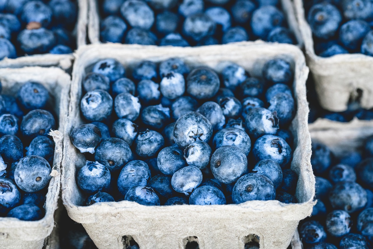 Grocery Prices Remain Eye-Watering Amid Moderate Inflation