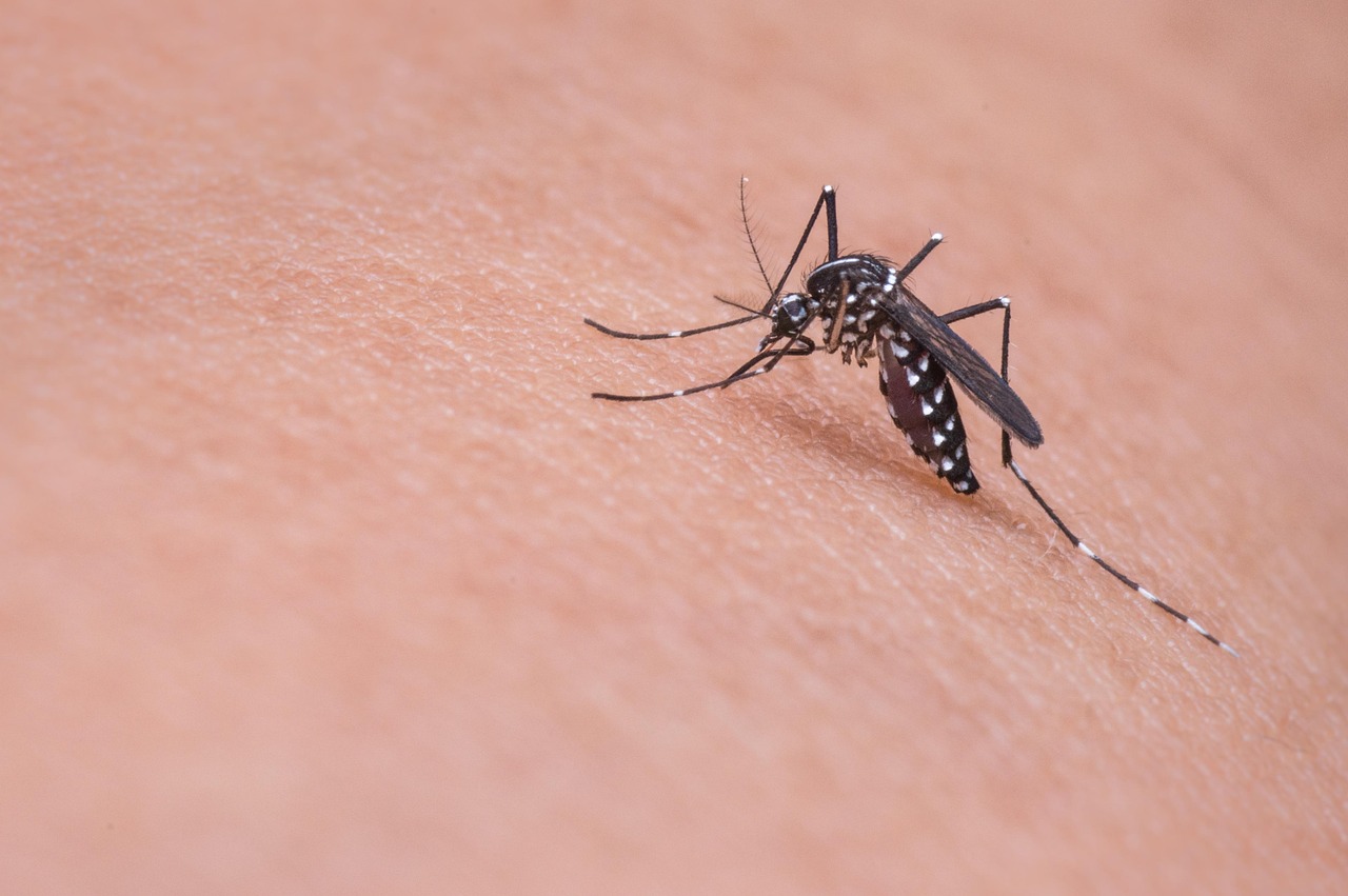 Skin patch detects disease risk instantly