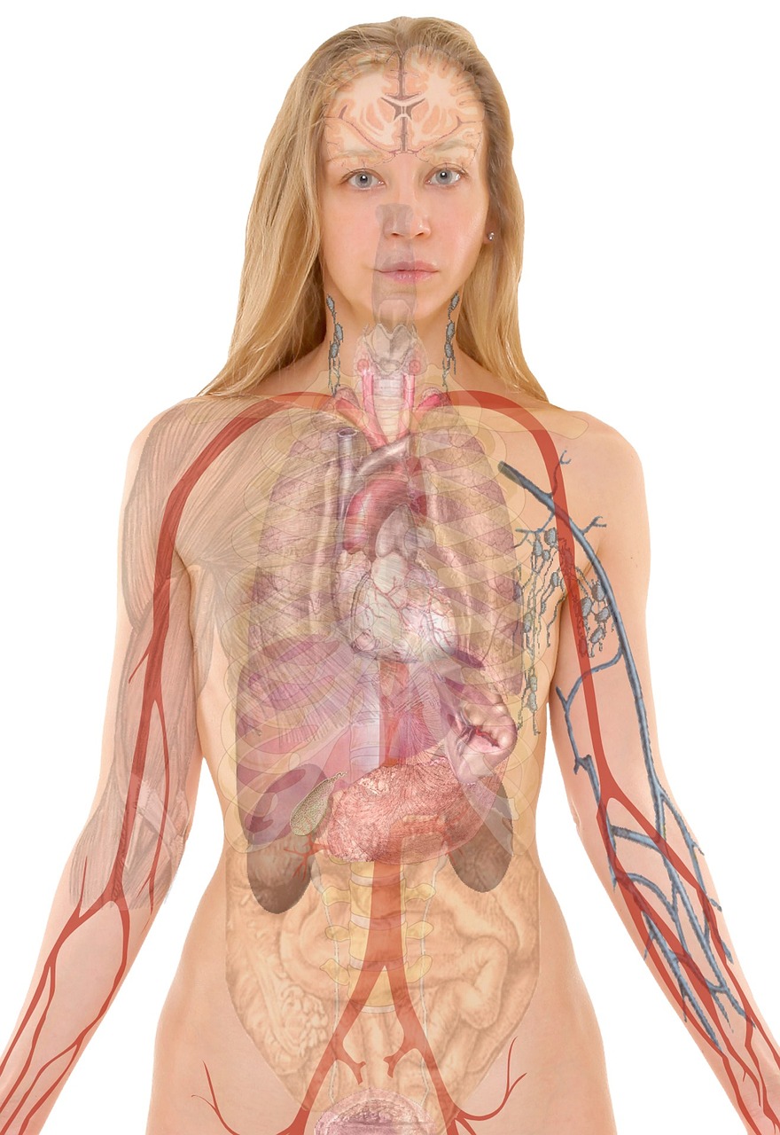 Urine test may spot lung cancer years early