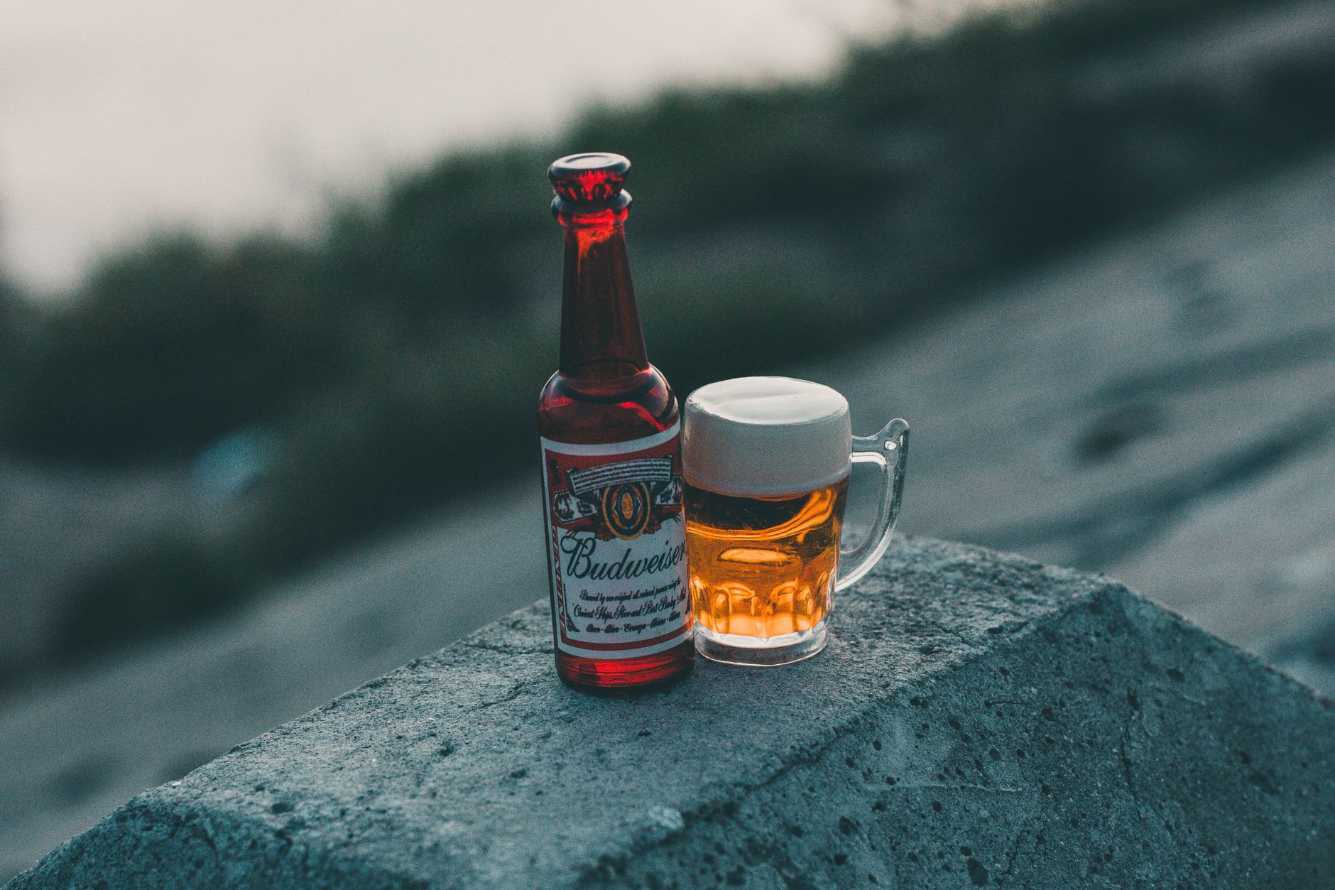 Budweiser China sales may rise with World Cup