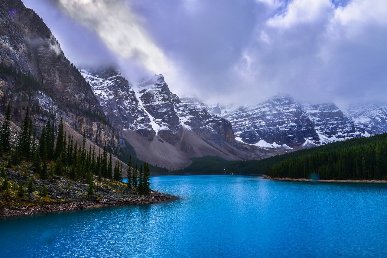 Apotex secures exclusive Canadian rights to Nebido