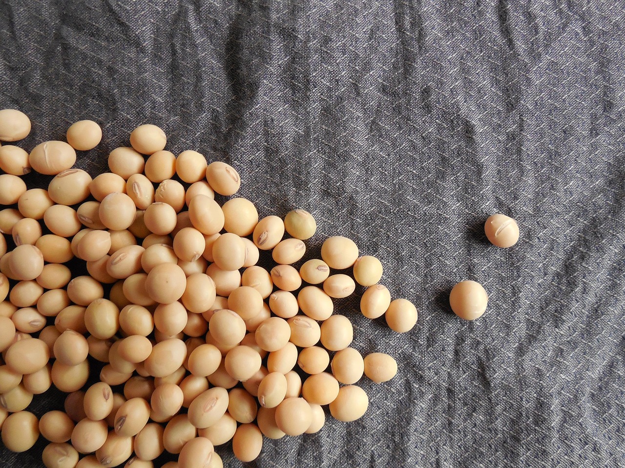 Better Meat Co shifts to plant-based protein