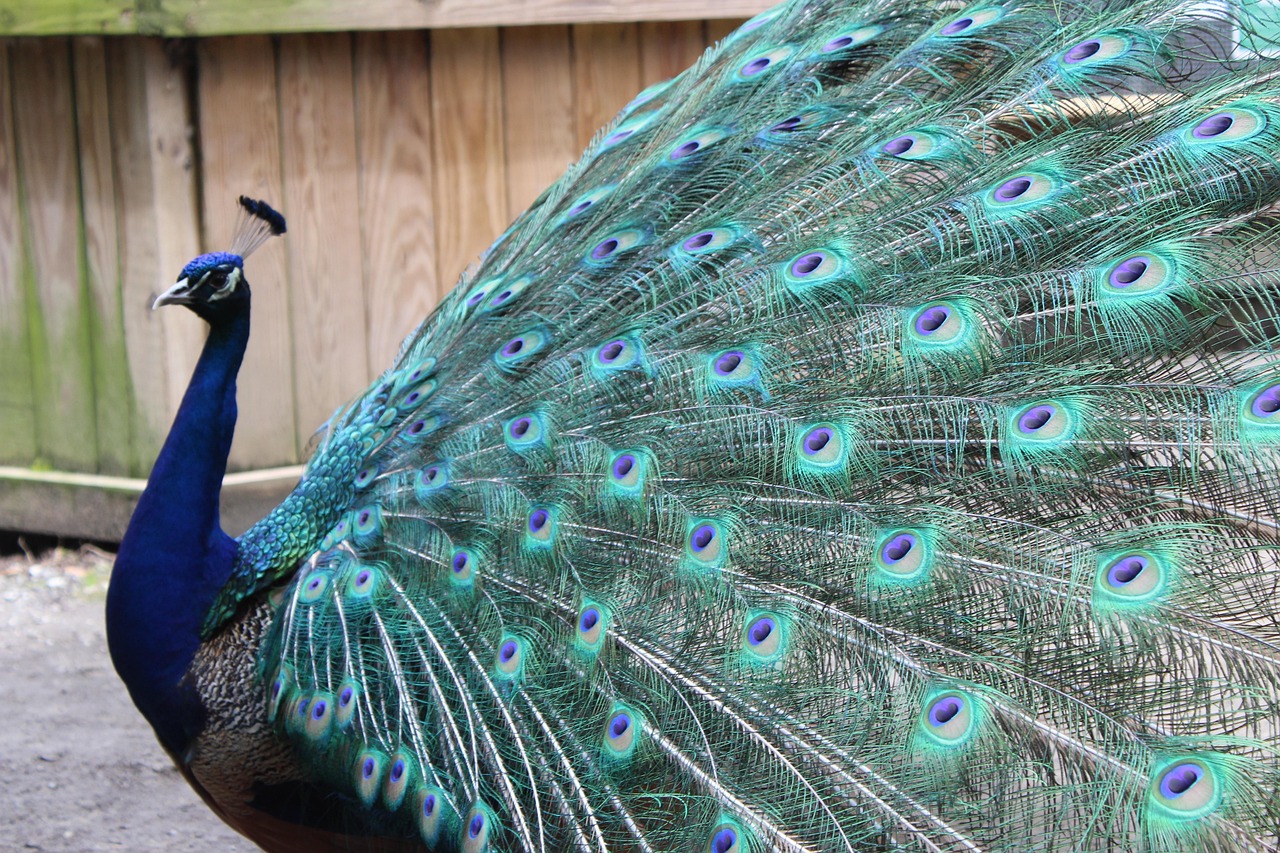 Exhibit Fabricators: Powering Custom Experiences That Convert