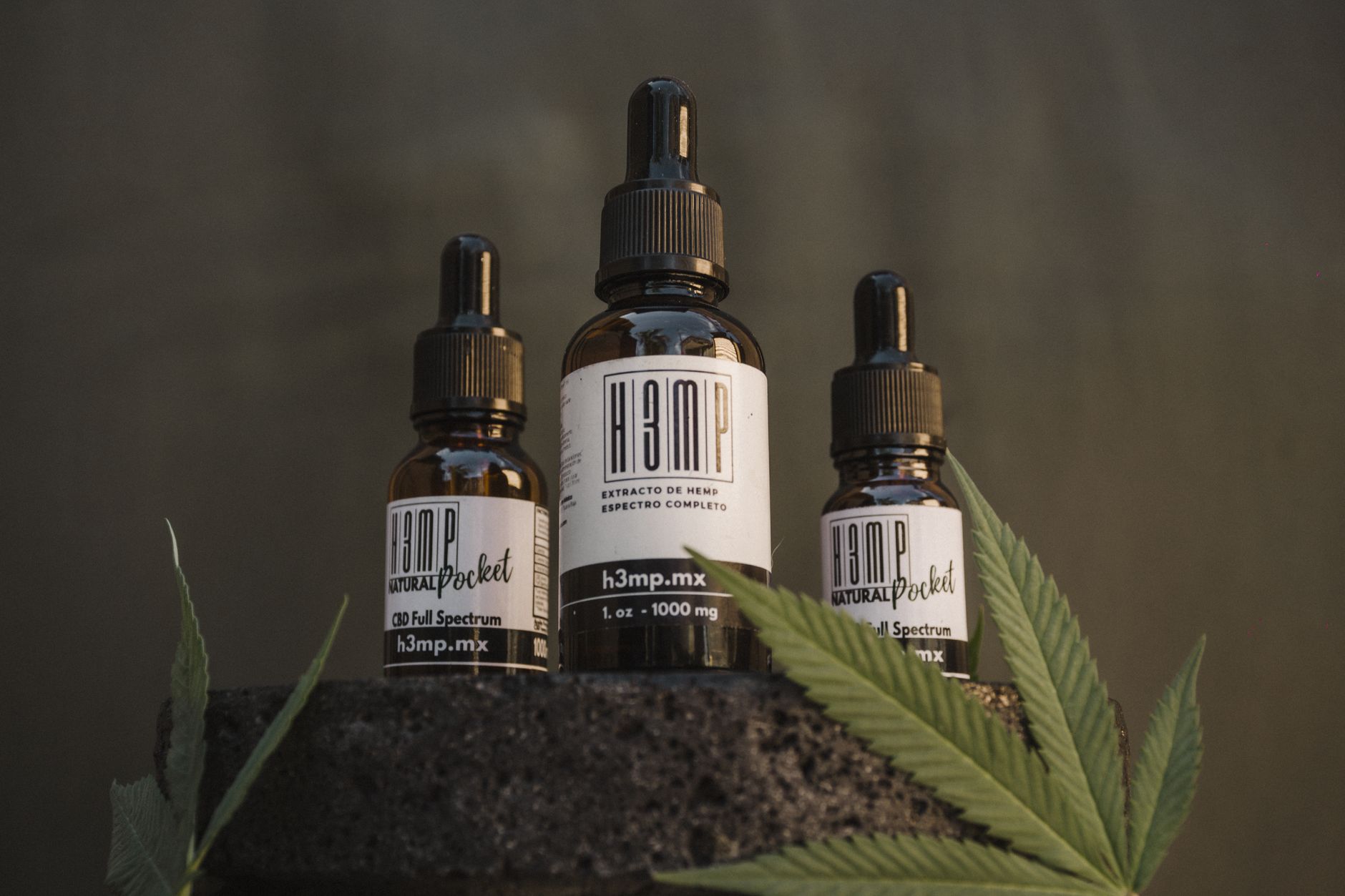 Best CBD Oil for Animals: Safe and Effective Pet Wellness