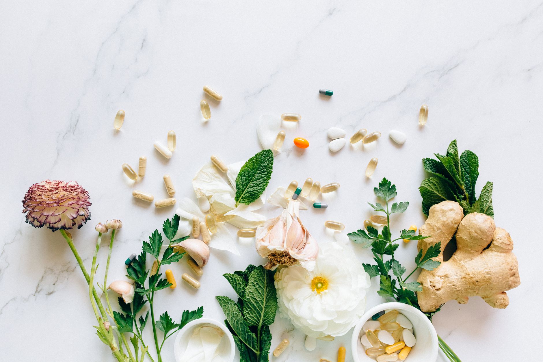 Prebiotics: A Comprehensive Exploration of Gut Health Supplements and Nutritional Support