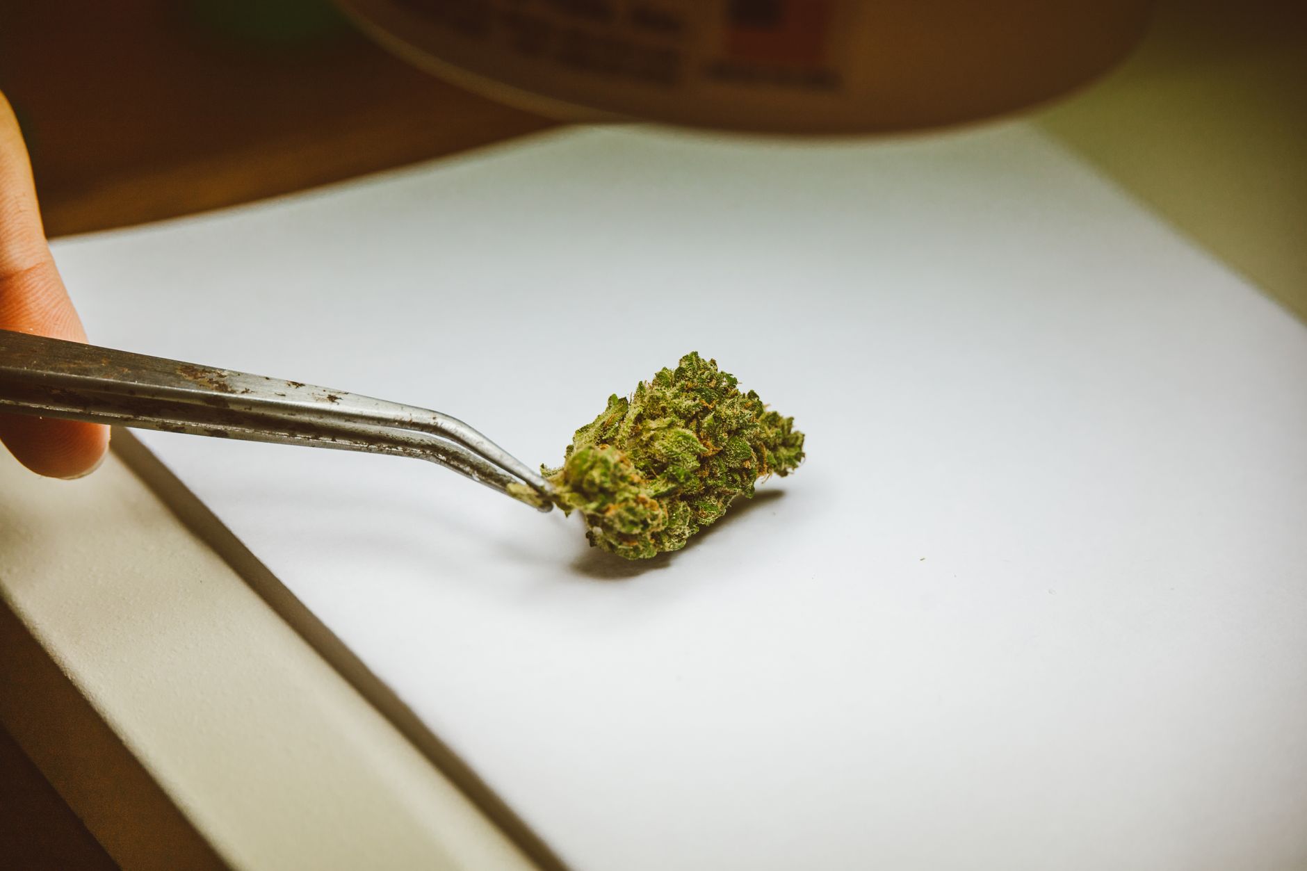 How to get a medical marijuanas card in Delaware online
