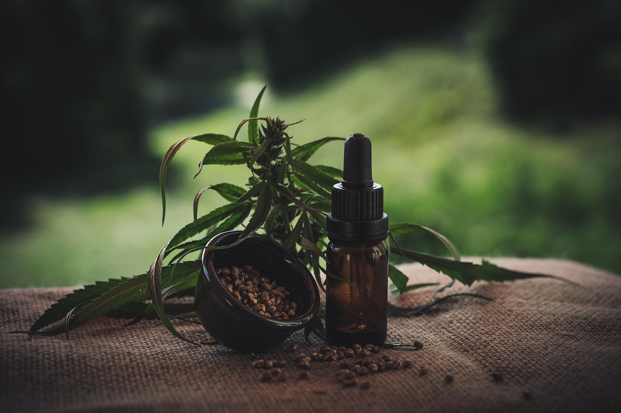 Just How Do CBD Edibles Work