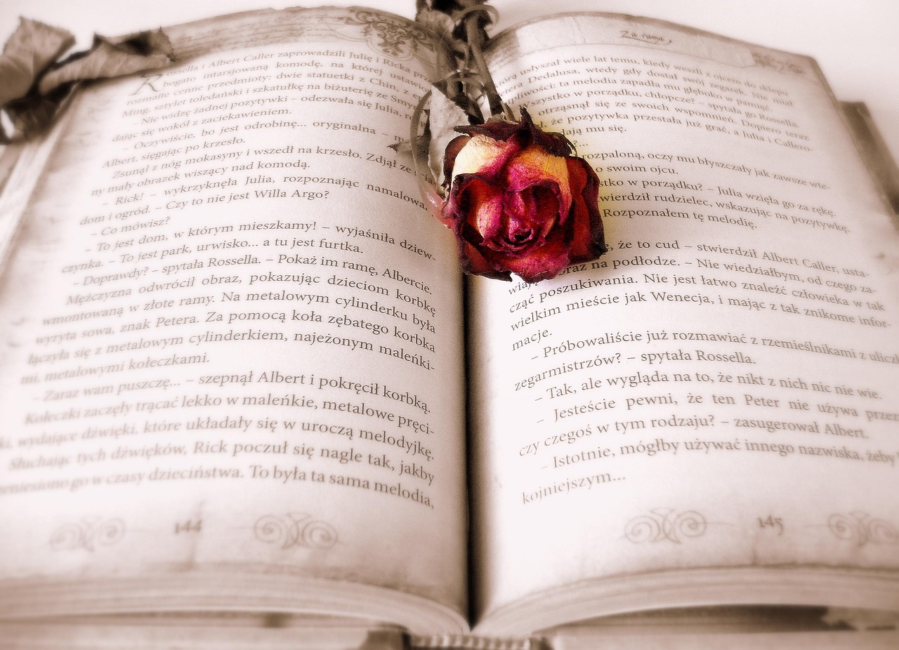 A Novel Proposal