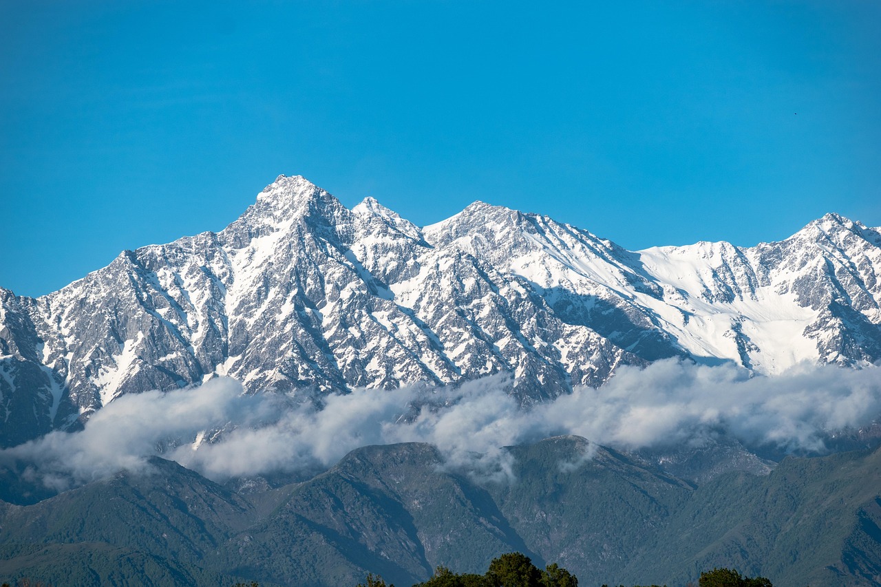 The Ultimate Guide to Managed Cloud Hosting in India