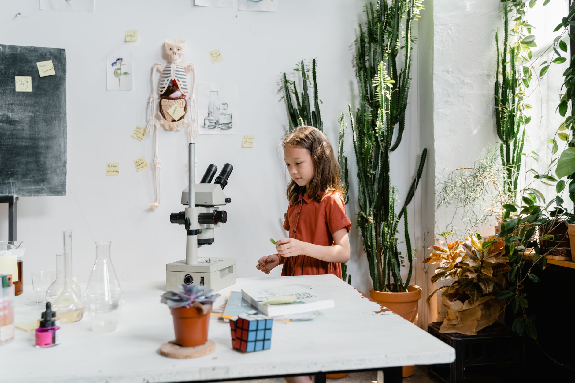 65 Terrific 3rd Grade Science Projects Anyone Can Do