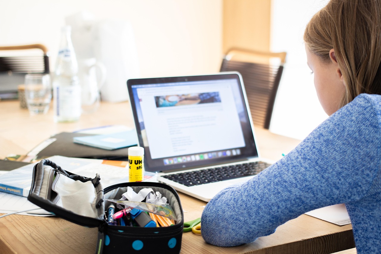 Is Online E-Learning A Good Way To Have Professional Knowledge For Our Laborers