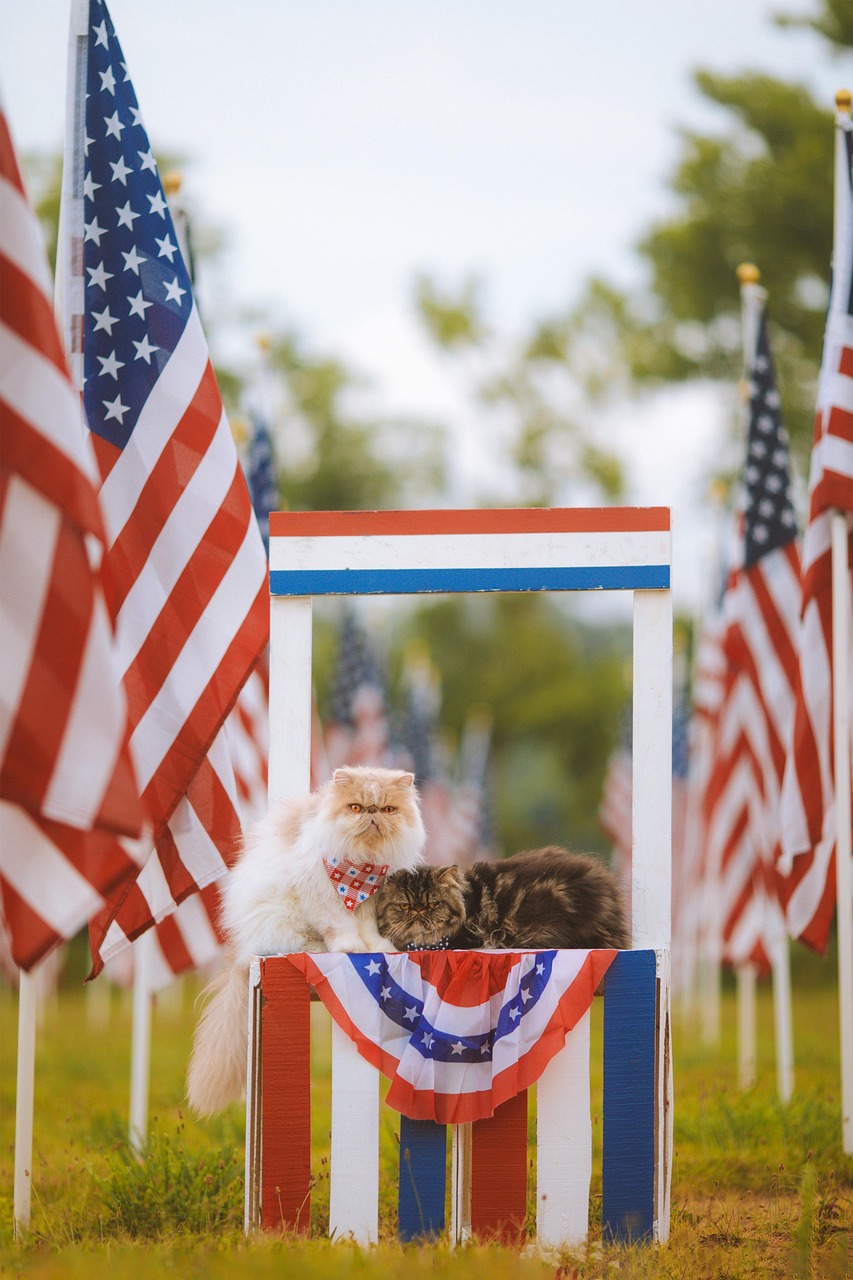Top July 4th gear deals this week