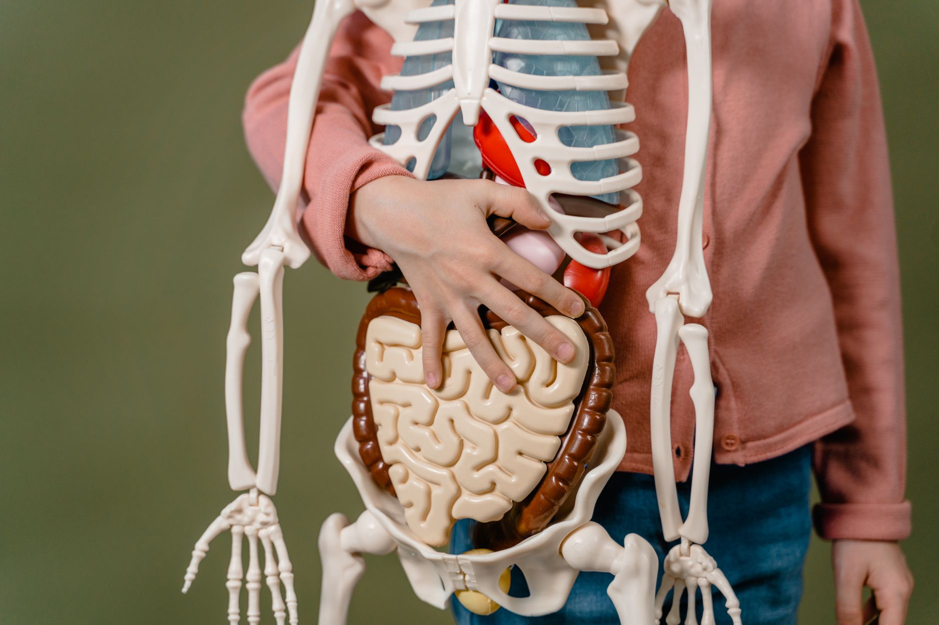 IMPACT OF DRUG ABUSE ON BODY ORGANS