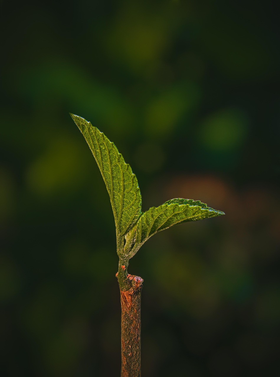 3 Ways You Can Be More Eco-Friendly As A Parent