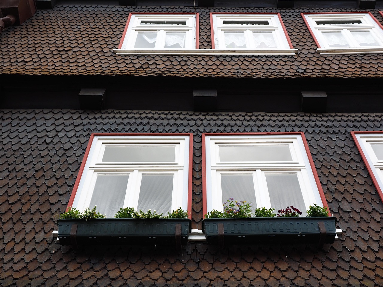 The Most Popular Types of House Cladding