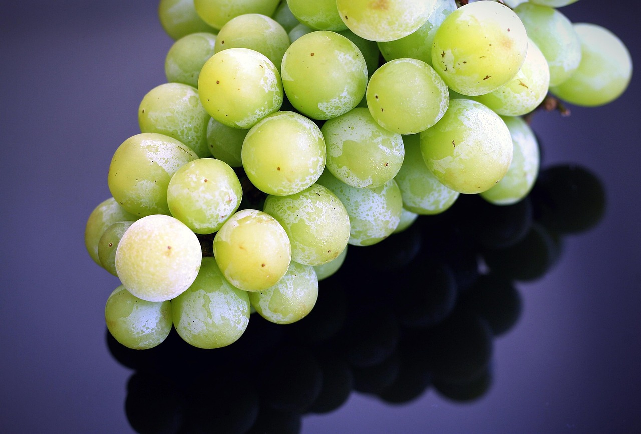 5 Healthy Eating Habits to Maintain Your Diet Plan