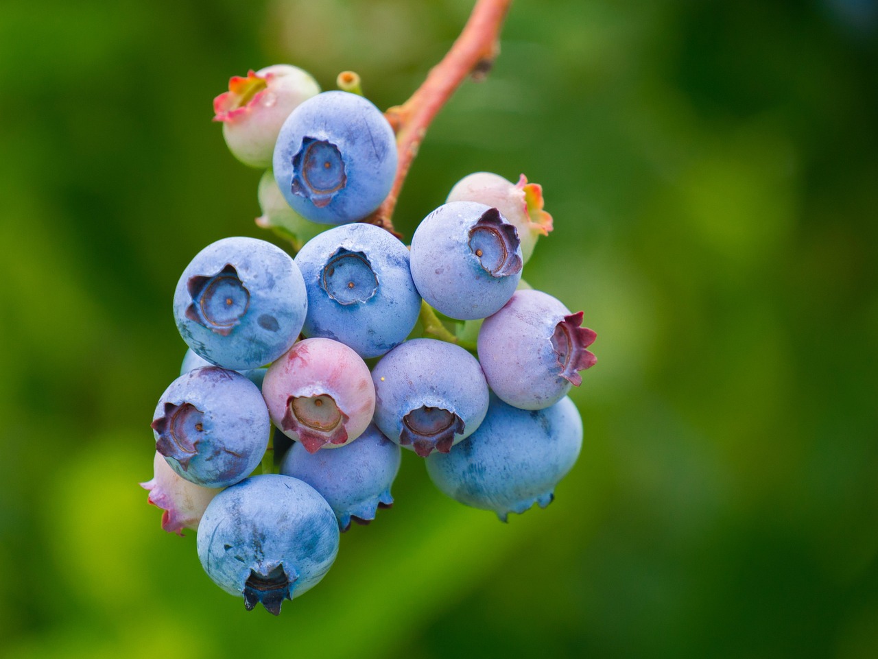 Top Benefits of Using Multi Vitamins for Nutritional Deficiency