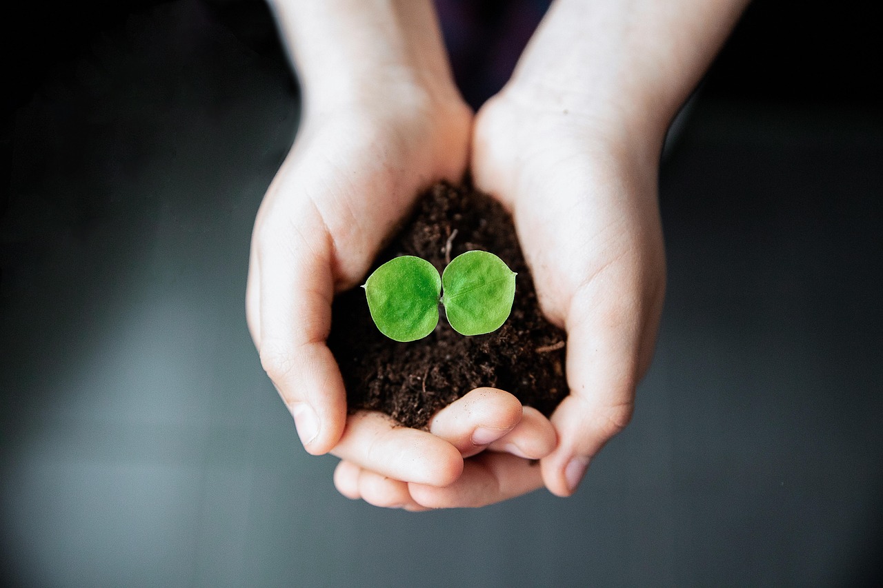 Life-changing techniques which can help you take care of your mental health