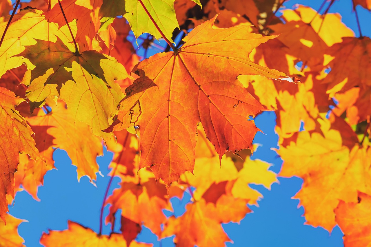 Brighten Your Mood with Color