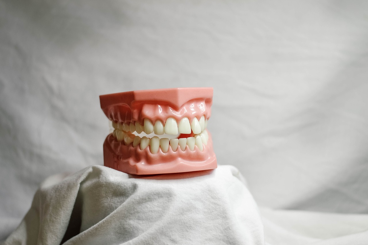 Understanding The Role Of A Periodontist In Your Dental Health
