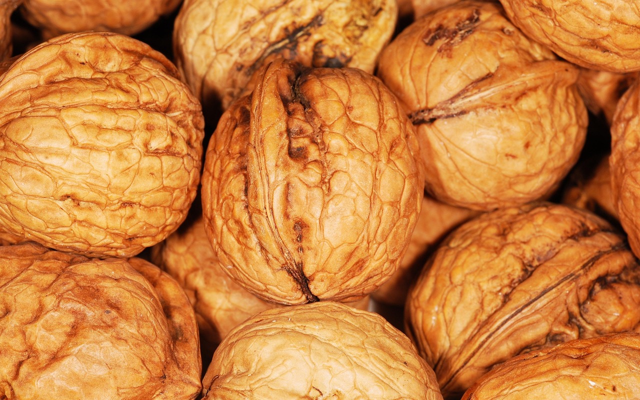 5 amazing vegetarian recipes with the goodness of protein powder