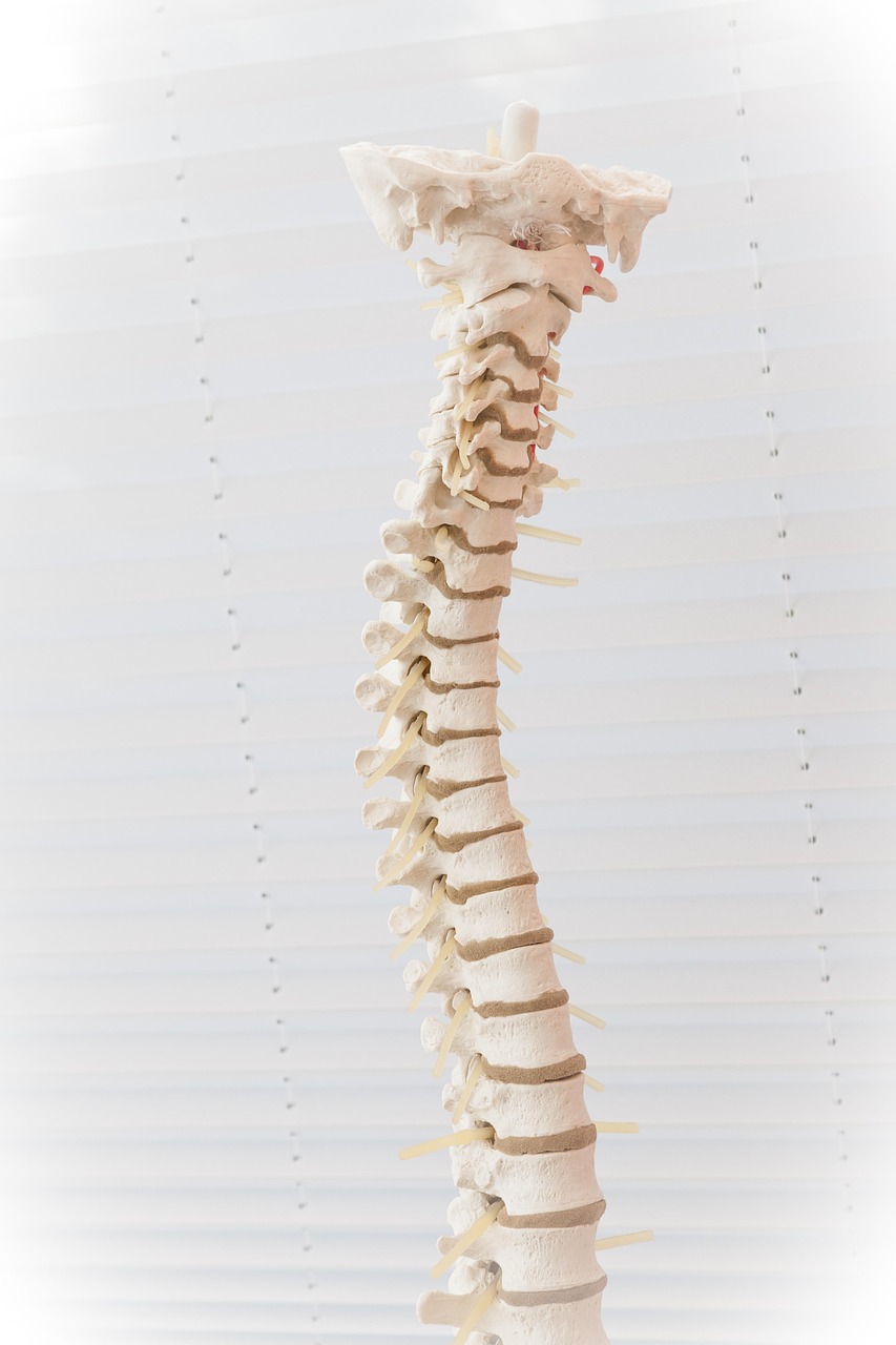 Physio for Lower Back Pain: A Comprehensive Guide