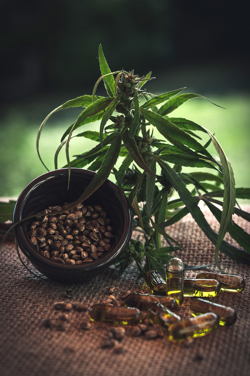 Qu’est-ce que l’huile de CBD ?