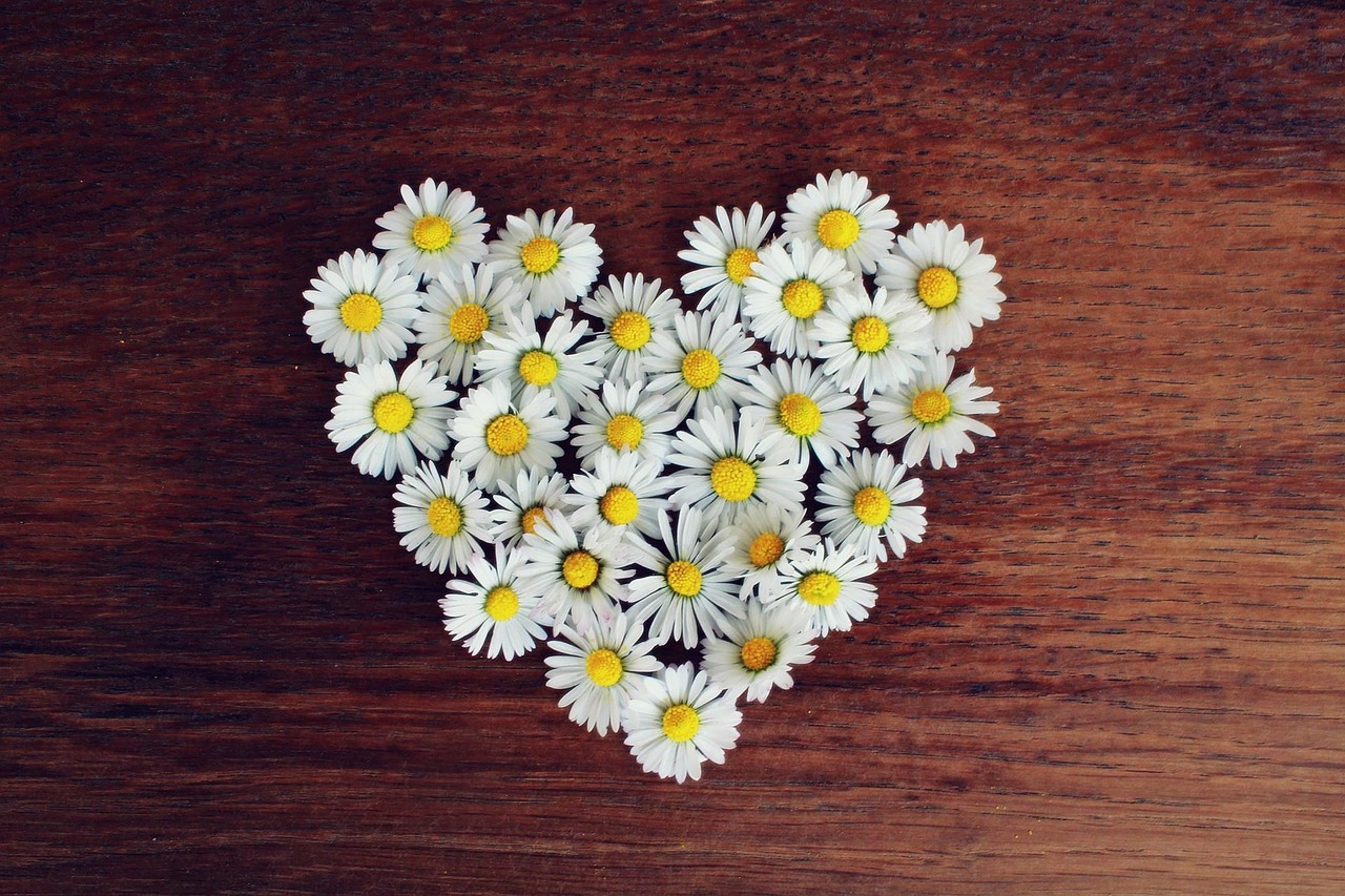 Women and Their Hearts: What You Need To Know